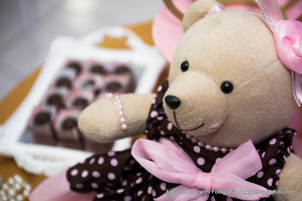 ANIVERSÁRIO Taubaté Antonella 1 ano FOTOGRAFO EDUARDO LAZZARINI FOTOGRAFO DE ANIVERSÁRIOS EM TAUBATE SP