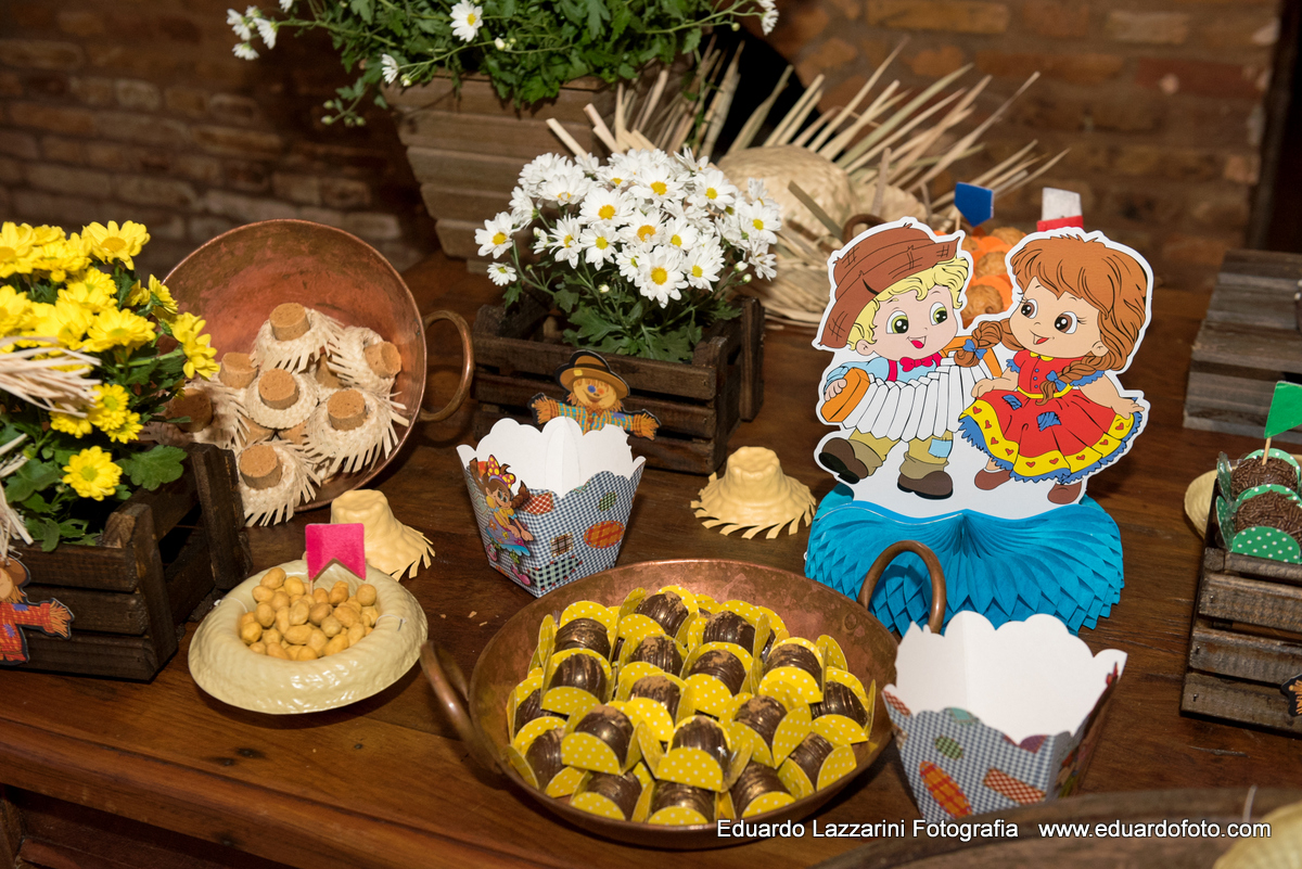 ANIVERSÁRIO Taubaté Anthony 1 ano FOTOGRAFO EDUARDO LAZZARINI FOTOGRAFO DE ANIVERSÁRIOS EM TAUBATE SP