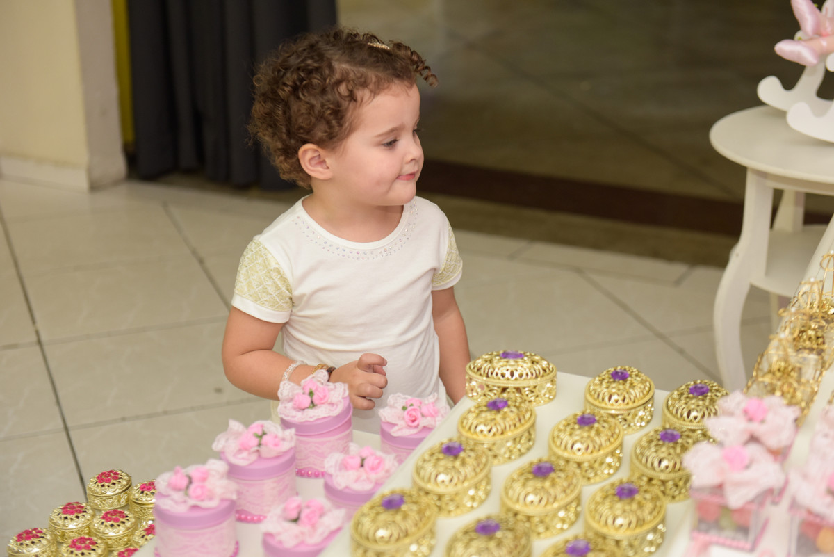 ANIVERSÁRIO Taubaté Gabriela 3 anos FOTOGRAFO EDUARDO LAZZARINI FOTOGRAFO DE ANIVERSÁRIOS EM TAUBATE SP