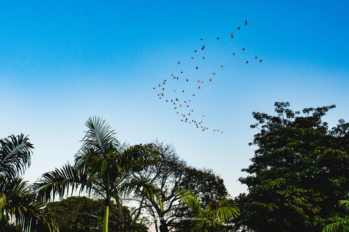 fotografia de casamento - wedding - casamento - fotografia Bauru - Casamentos - noiva -noivo - bride - fotografia criativa - casamento no campo - bauru - andre timex fotografias 