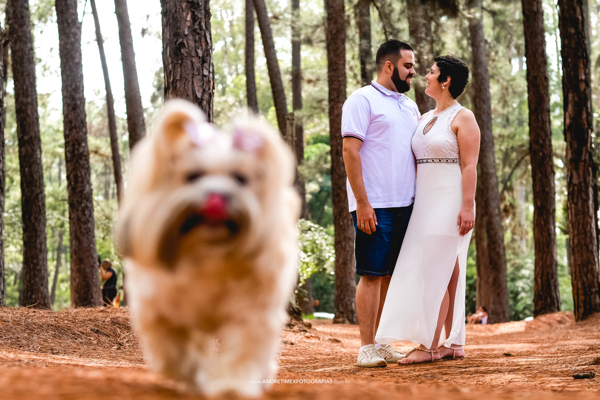 ensaio de casal . pre wedding . horto bauru . andre timex fotografia . ensaio de moto . wedding . casamento. bauru .casamento em bauru. brotas ensaio .ensaio igreja matriz jau. fotografia de casamento . wedding brasil