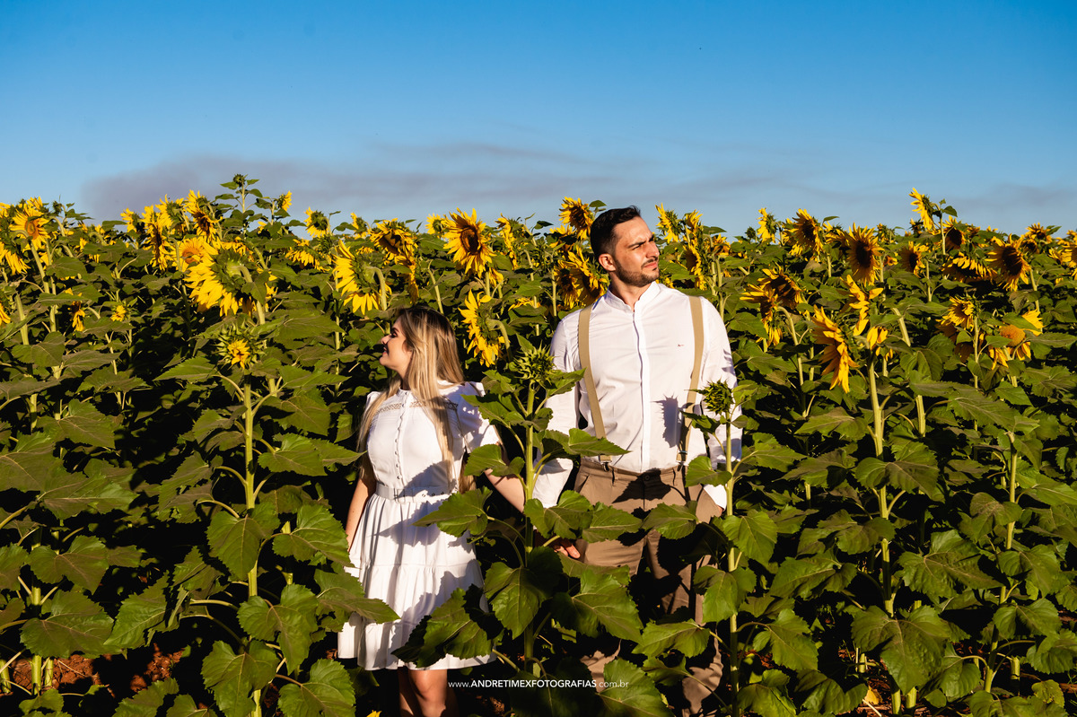 pre wedding -  Ensaio Holambra - ensaio de casal - casamento - noiva- noivo - wedding - ensaio casamento - cidade das flores