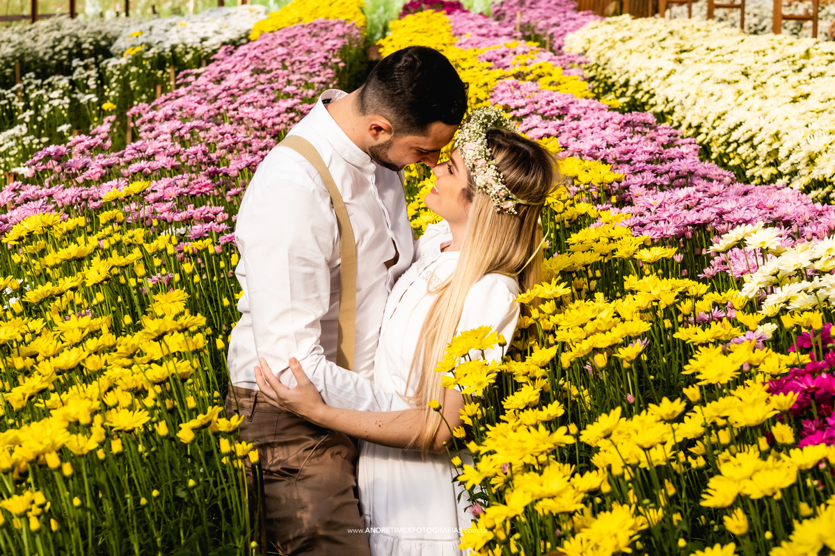 pre wedding -  Ensaio Holambra - ensaio de casal - casamento - noiva- noivo - wedding - ensaio casamento - cidade das flores