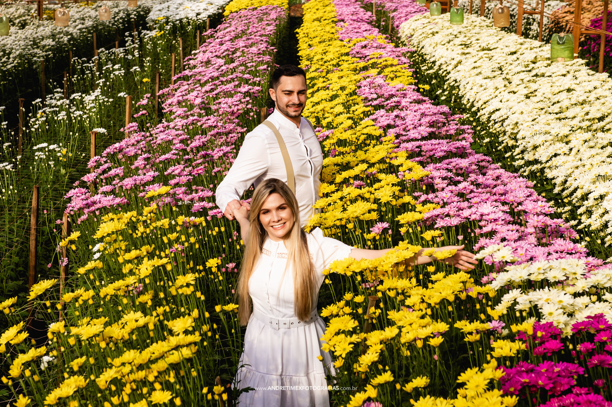 pre wedding -  Ensaio Holambra - ensaio de casal - casamento - noiva- noivo - wedding - ensaio casamento - cidade das flores