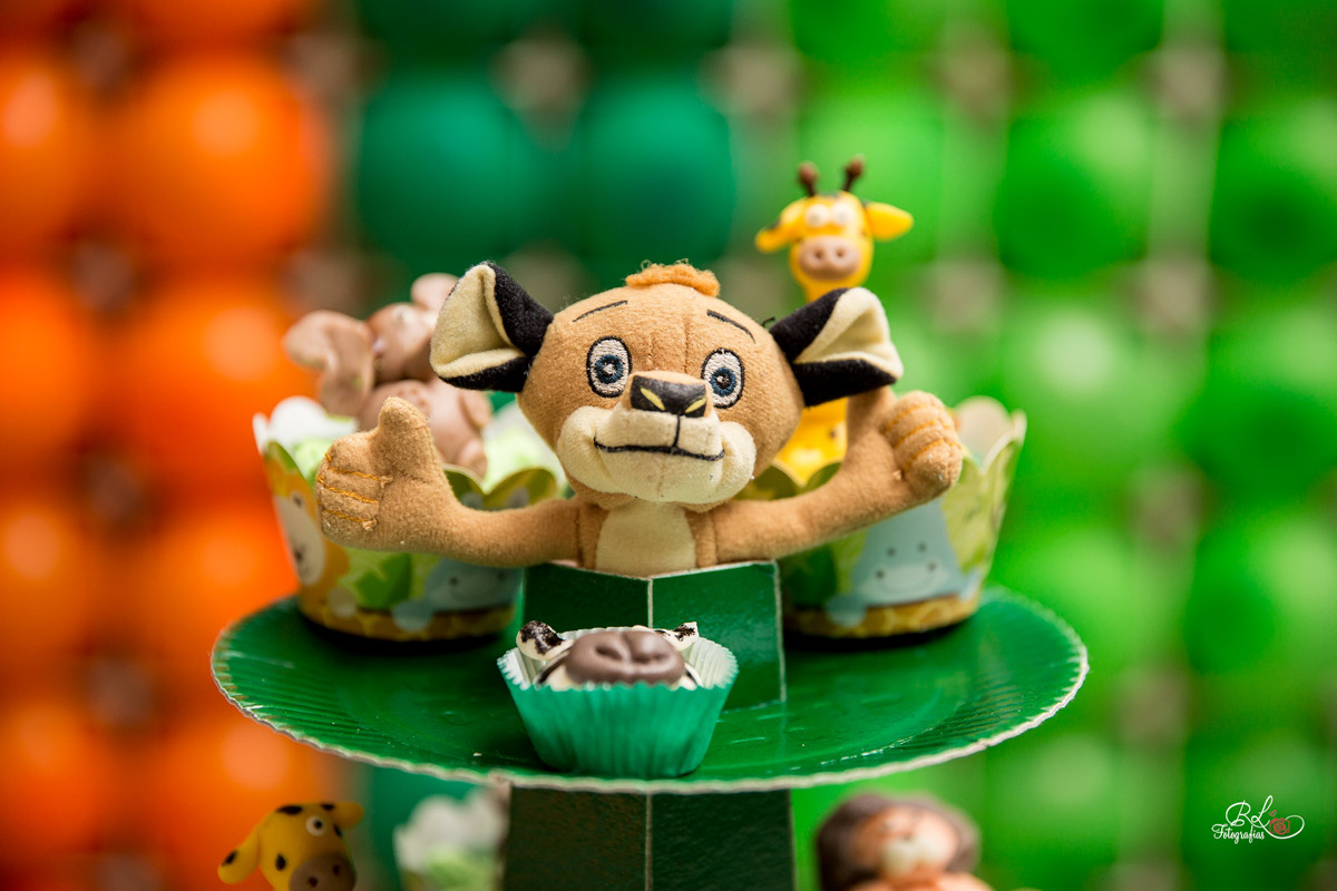 fotografo sorocaba, book fotográfico, fotografias sorocaba, sorocaba, rl fotografias, aniversario sorocaba, niver, aniversário infantil, fotografo de aniversario, fotografo de aniversário sp, fotografo de aniversario infantil sorocaba