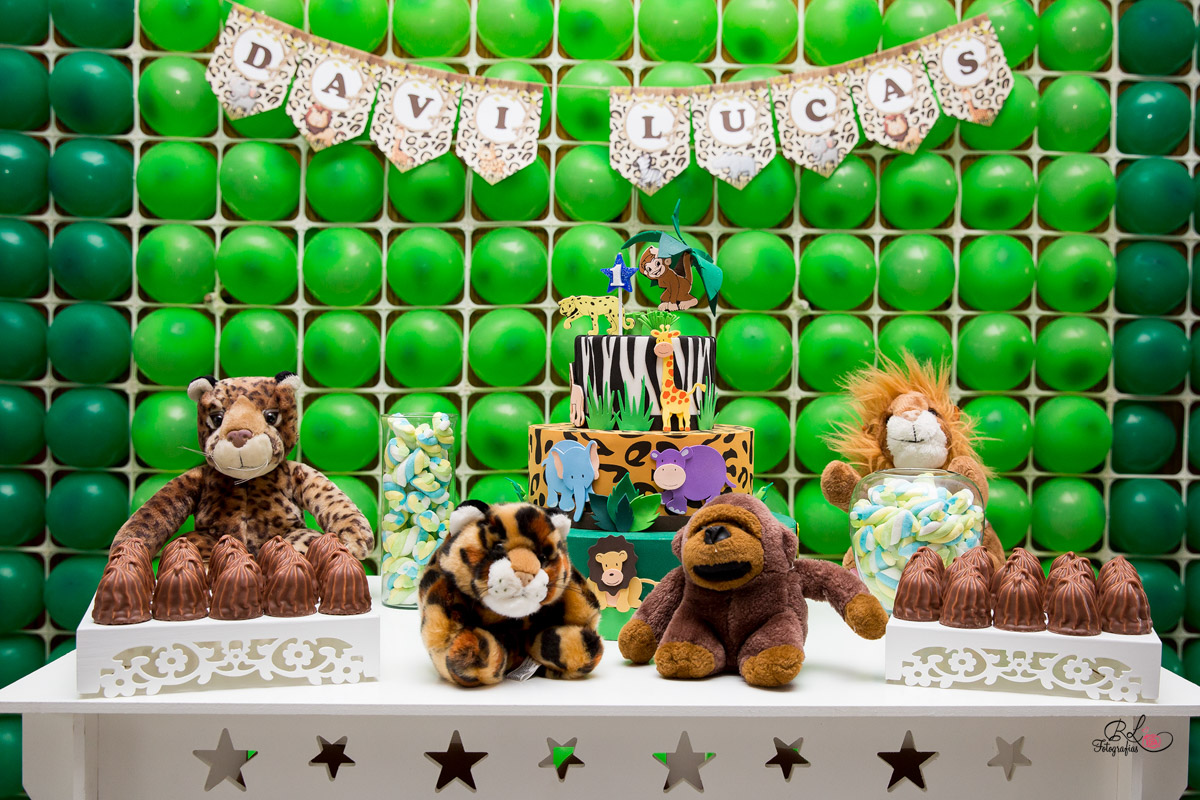 fotografo sorocaba, book fotográfico, fotografias sorocaba, sorocaba, rl fotografias, aniversario sorocaba, niver, aniversário infantil, fotografo de aniversario, fotografo de aniversário sp, fotografo de aniversario infantil sorocaba