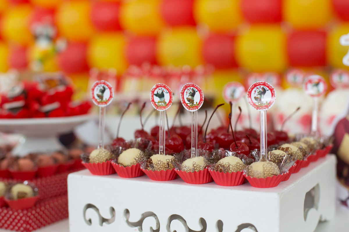 fotografo sorocaba, book fotográfico, fotografias sorocaba, sorocaba, rl fotografias, aniversario sorocaba, niver, aniversário infantil, fotografo de aniversario, fotografo de aniversário sp, fotografo de aniversario infantil sorocaba