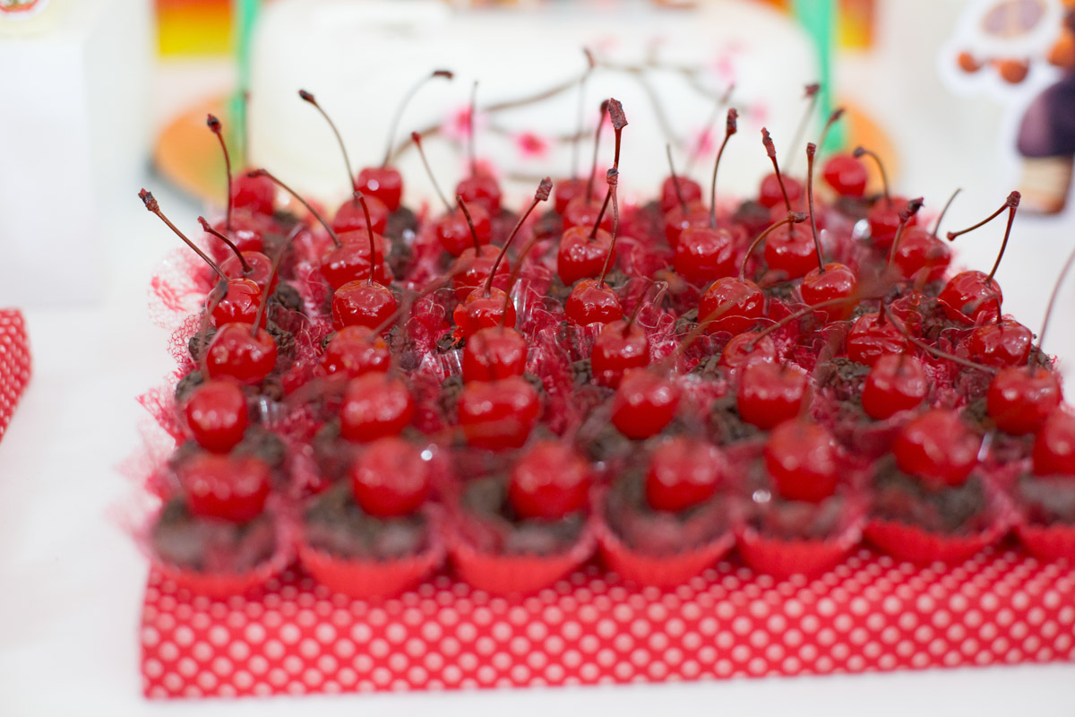 fotografo sorocaba, book fotográfico, fotografias sorocaba, sorocaba, rl fotografias, aniversario sorocaba, niver, aniversário infantil, fotografo de aniversario, fotografo de aniversário sp, fotografo de aniversario infantil sorocaba