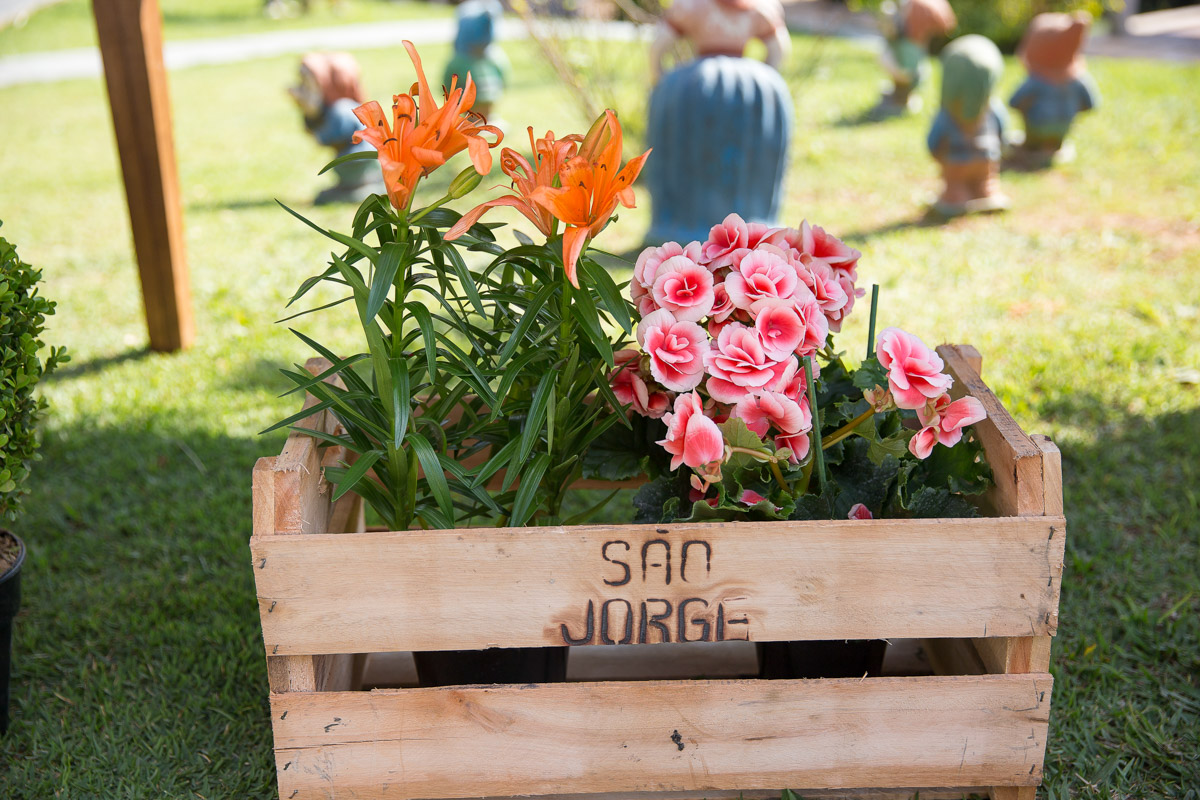 fotografo sorocaba, book fotográfico, fotografias sorocaba, sorocaba, rl fotografias, aniversario sorocaba, niver, aniversário infantil, fotografo de aniversario, fotografo de aniversário sp, fotografo de aniversario infantil sorocaba
