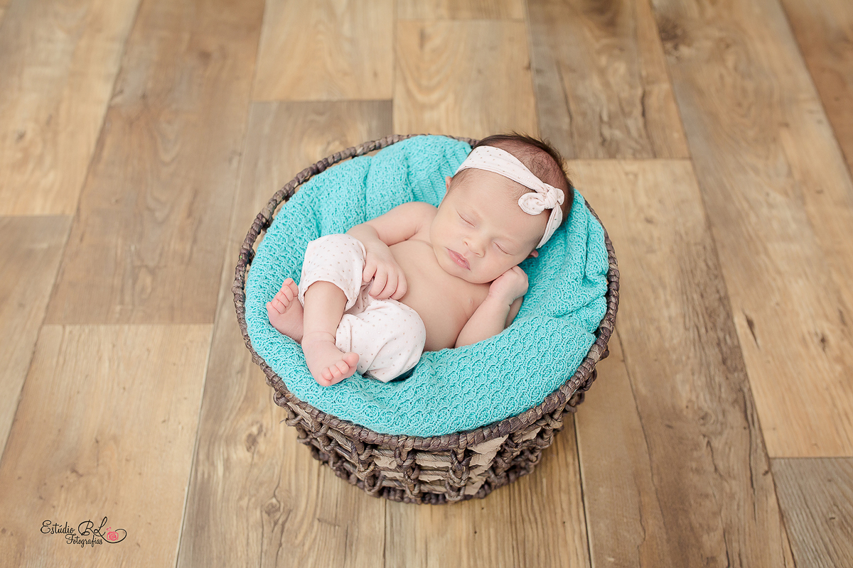 Manuela posando para as fotos no cestinho