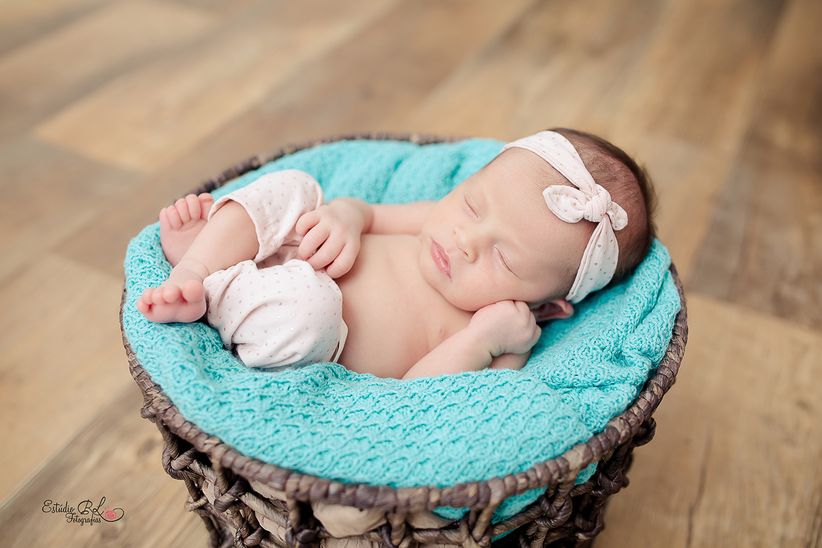 Manuela posando para as fotos no cestinho