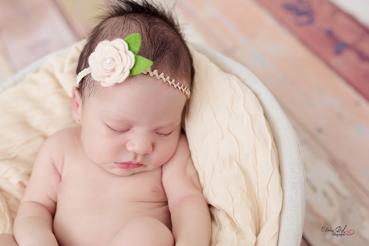 Ensaio recém nascido (newborn)