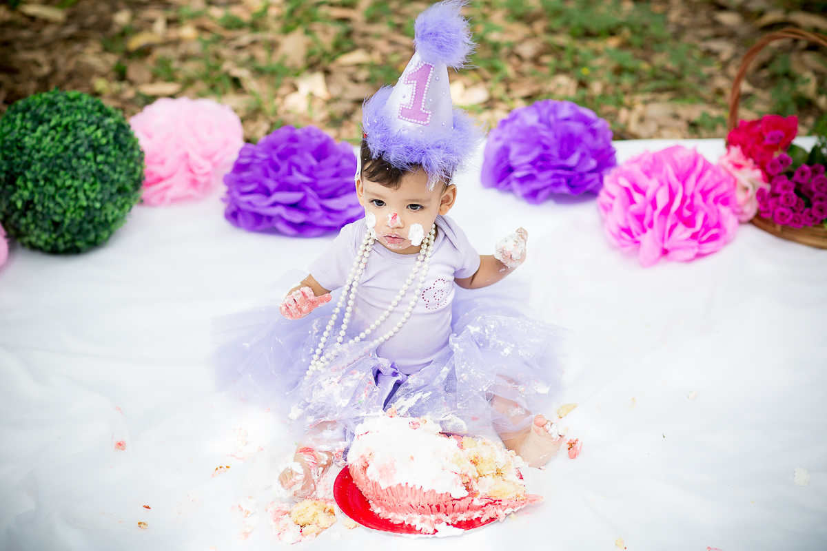 Smash the Cake Ana Luiza na Fazenda Ipanema