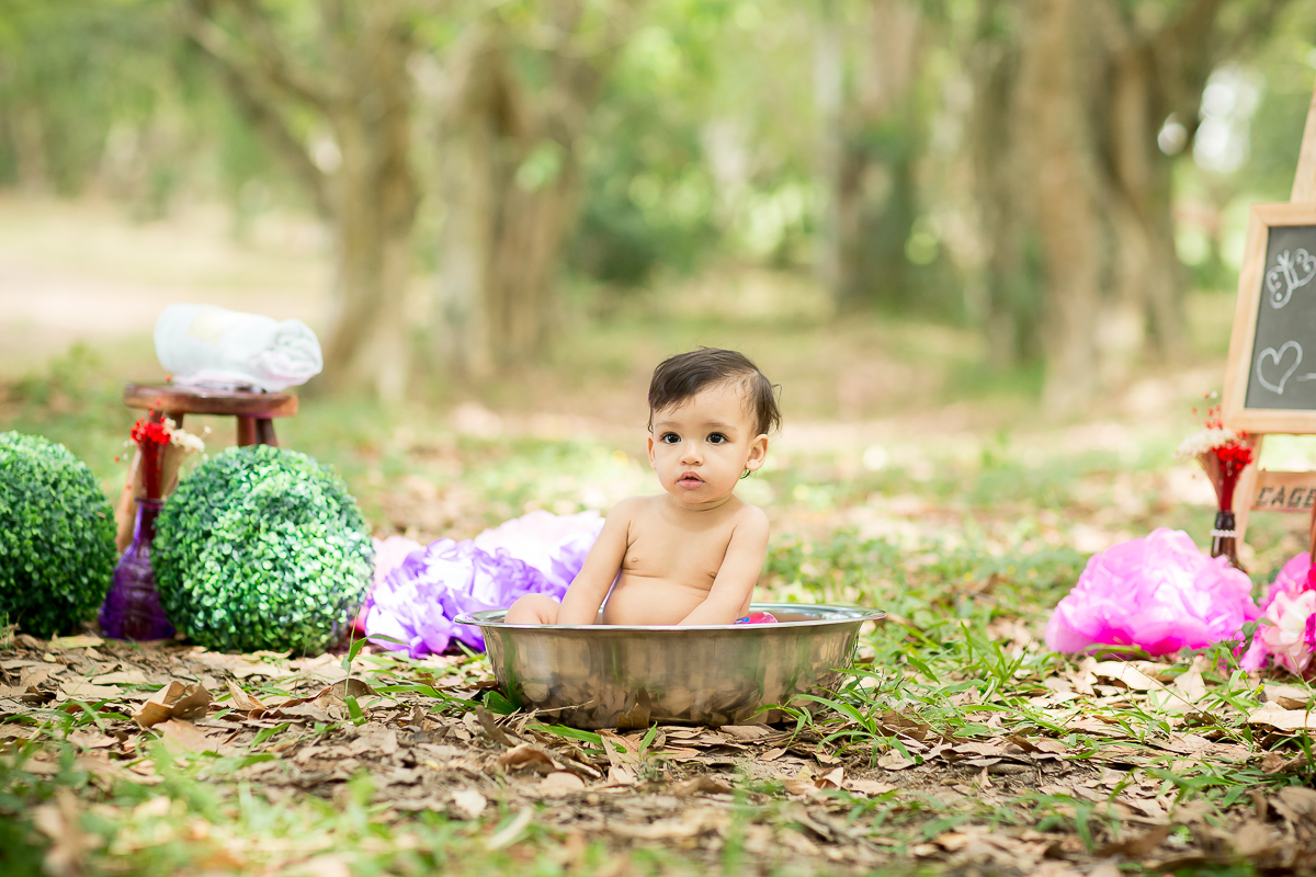 Smash the Cake Ana Luiza na Fazenda Ipanema