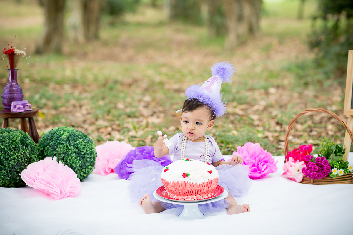 Smash the Cake Ana Luiza na Fazenda Ipanema