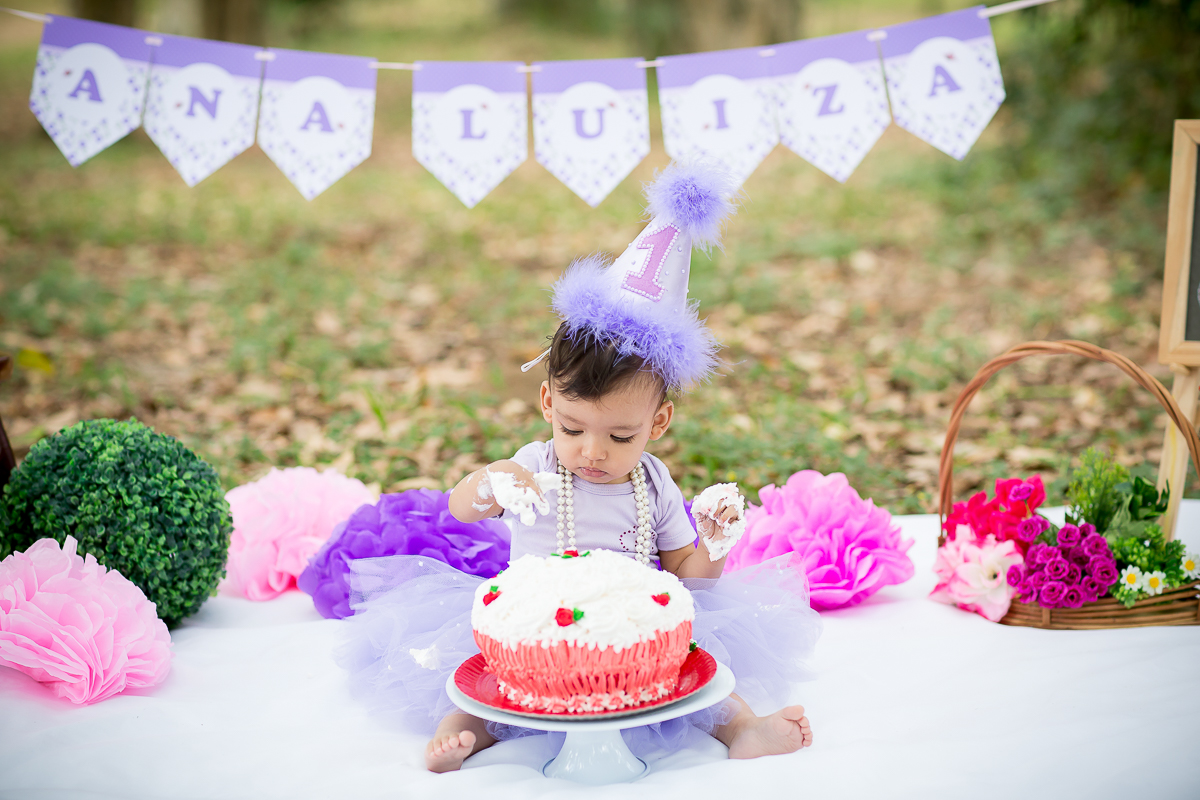 Smash the Cake Ana Luiza na Fazenda Ipanema