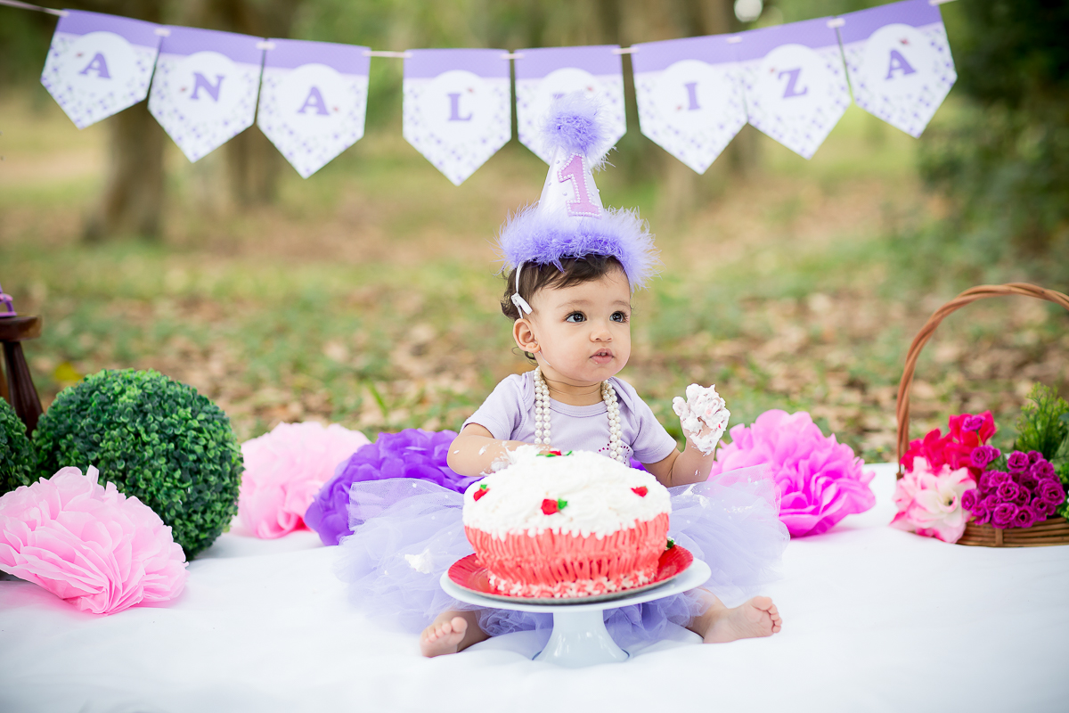 Smash the Cake Ana Luiza na Fazenda Ipanema