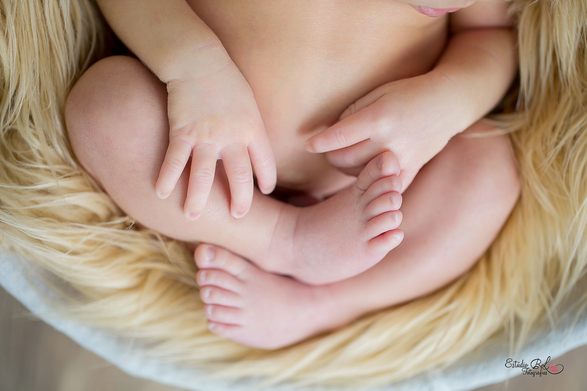 ensaio recém nascido newborn