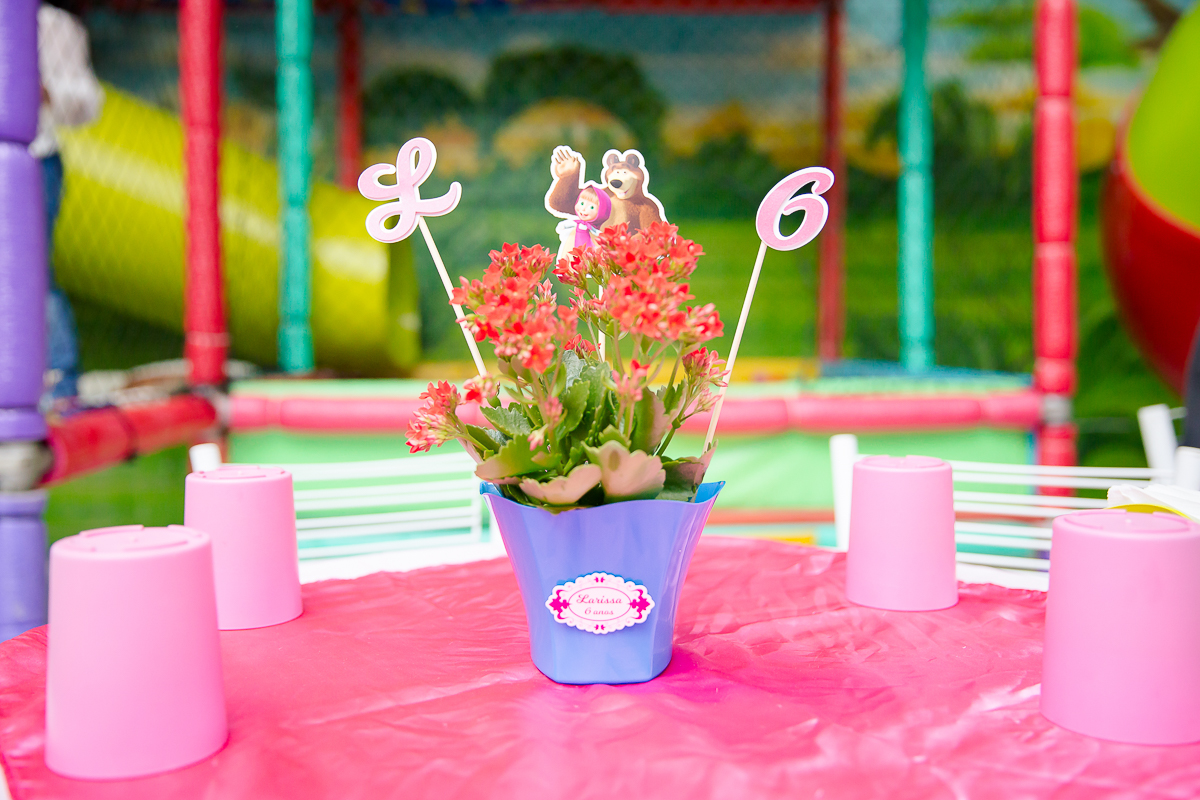 Aniversário de 6 aninho da Larissa nos Buffet na Floresta