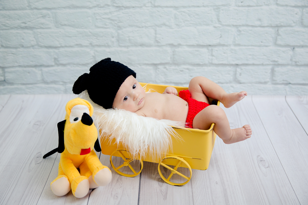 Acompanhamento de bebes 3 meses 