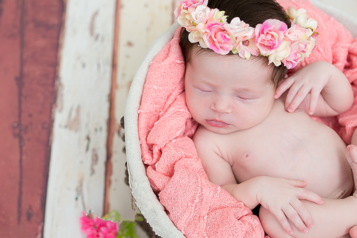 ensaio recém nascido newborn estúdio rl fotografias sorocaba