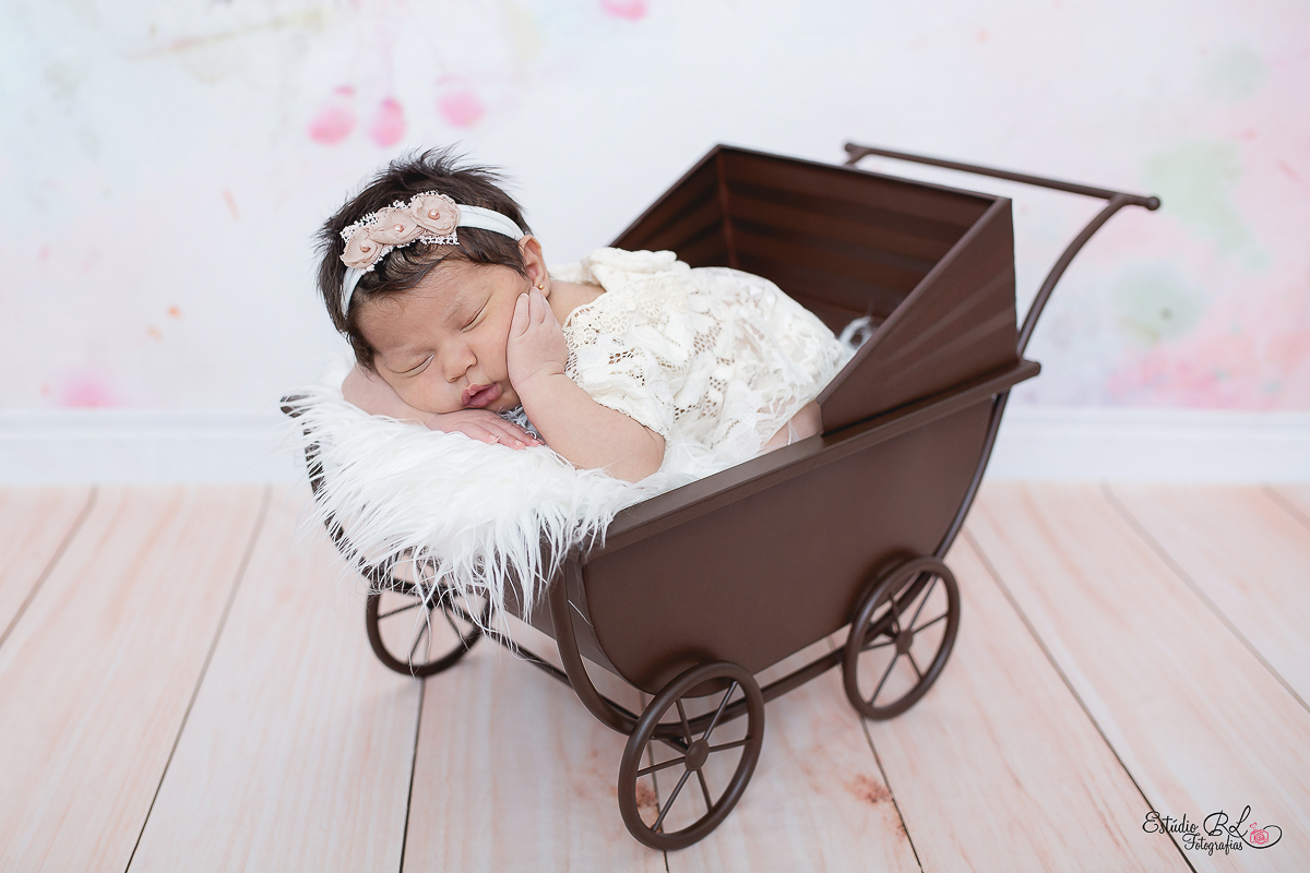 Ensaio newborn Ellis 23 dias no carrinho toda delicada