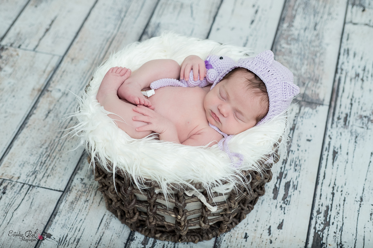 Esse foi o registro dos primeiros dias de vida da Cecilia gatinha linda