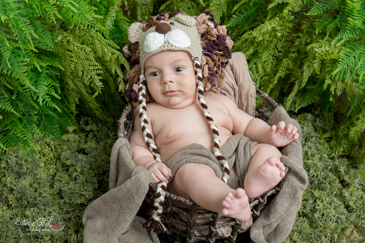 3 meses já se passou, e o Lucas se tornou o reizinho da selva