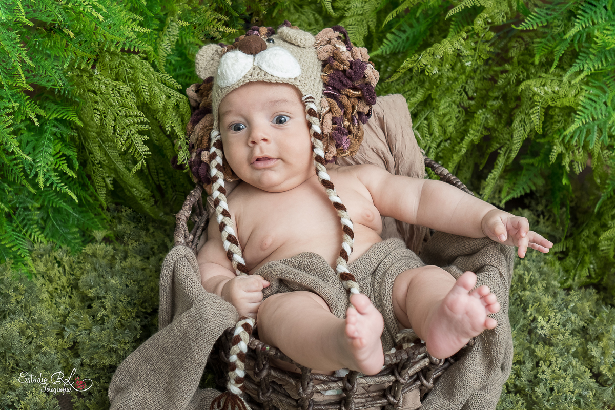 3 meses já se passou, e o Lucas se tornou o reizinho da selva