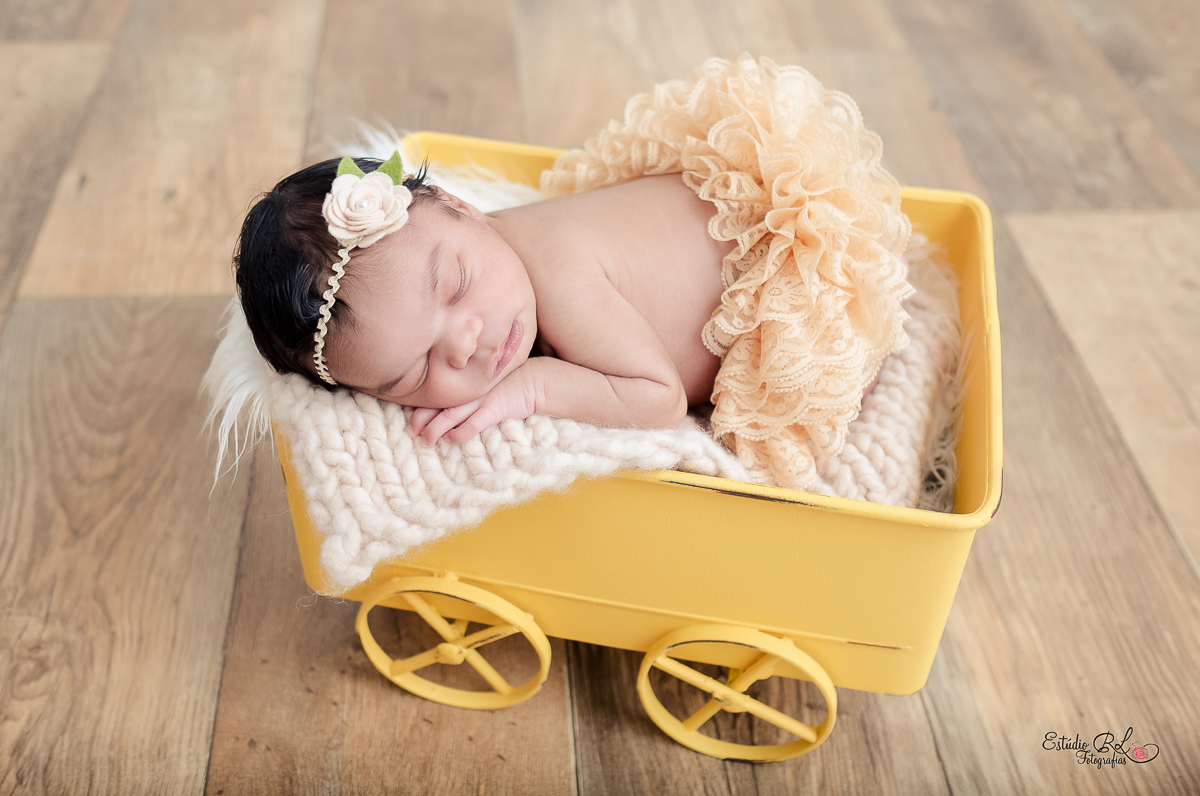 ensaio newborn Lorena 9 dias