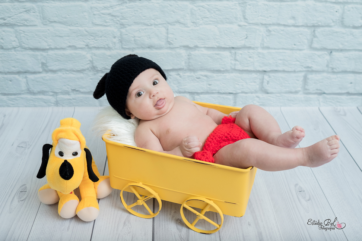 O gatinho Guilherme, está com 3 meses de pura fofura