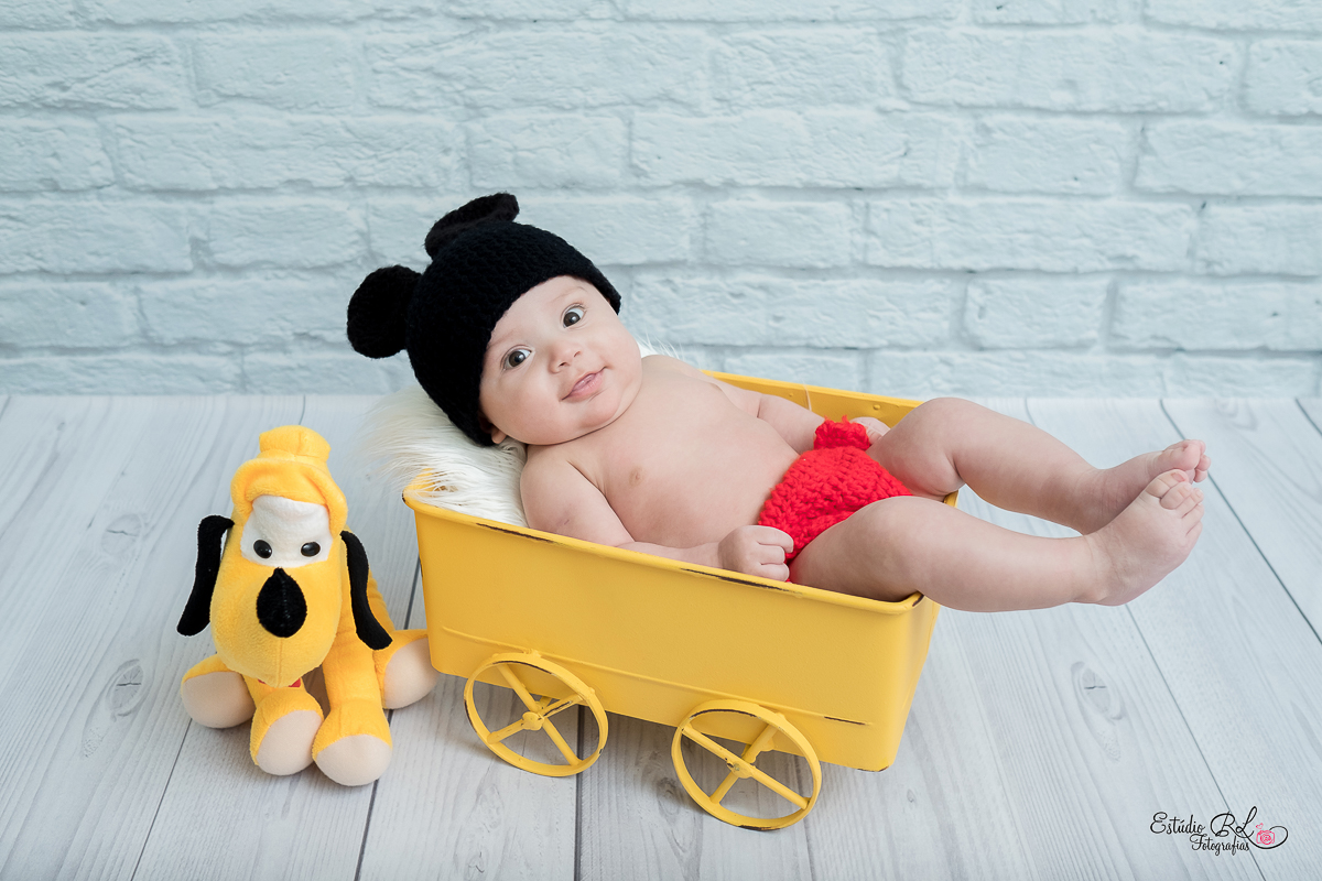 O gatinho Guilherme, está com 3 meses de pura fofura