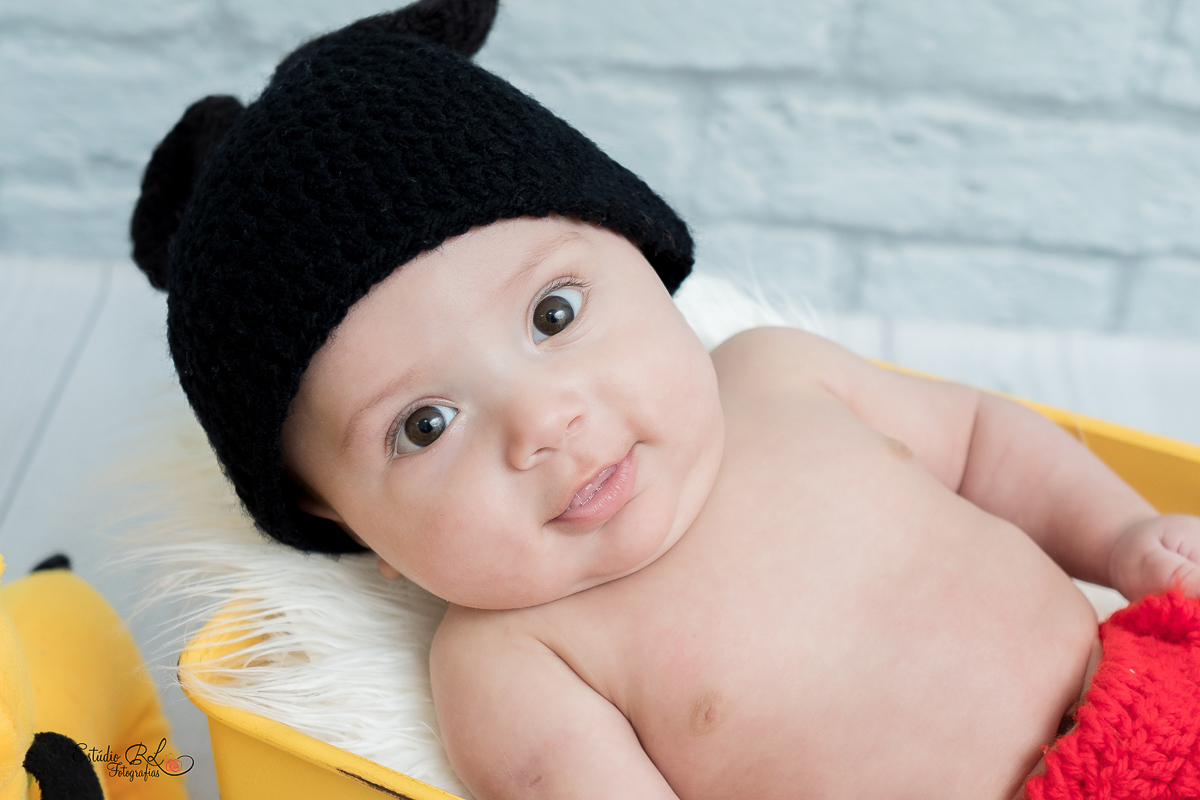 O gatinho Guilherme, está com 3 meses de pura fofura