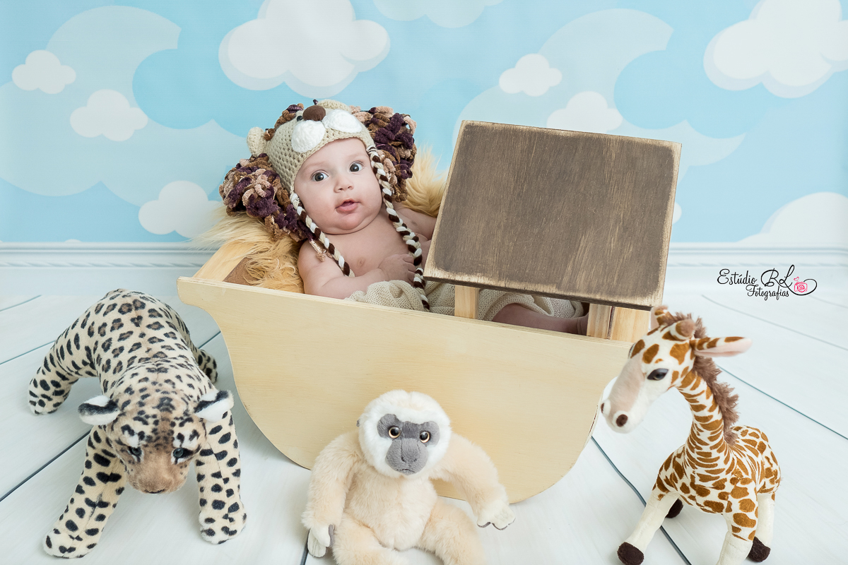 O gatinho Guilherme, está com 3 meses de pura fofura