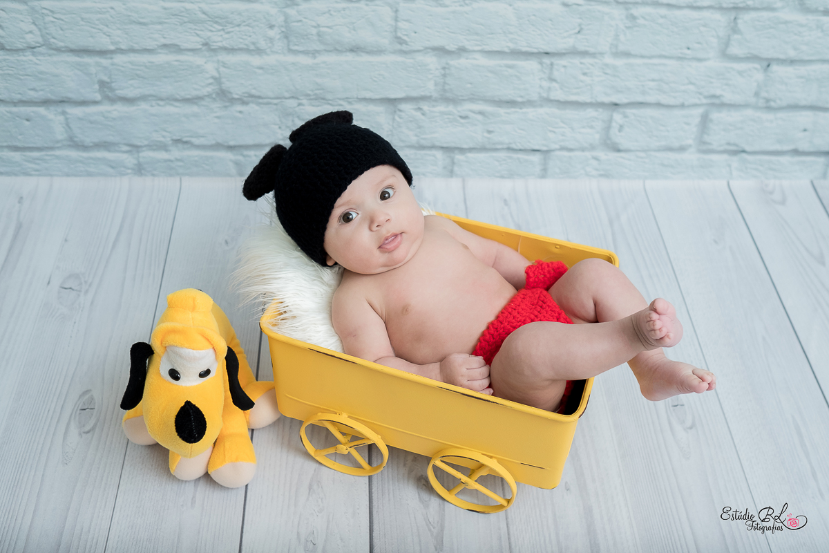 O gatinho Guilherme, está com 3 meses de pura fofura