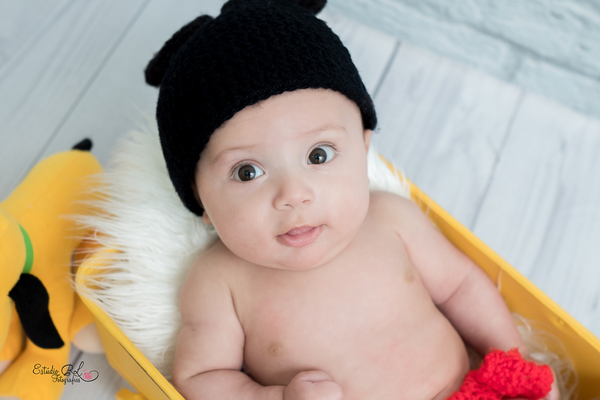 O gatinho Guilherme, está com 3 meses de pura fofura