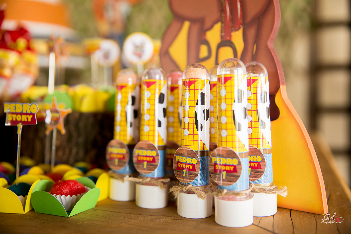 fotografo sorocaba, book fotográfico, fotografias sorocaba, sorocaba, rl fotografias, aniversario sorocaba, niver, aniversário infantil, fotografo de aniversario, fotografo de aniversário sp, fotografo de aniversario infantil sorocaba