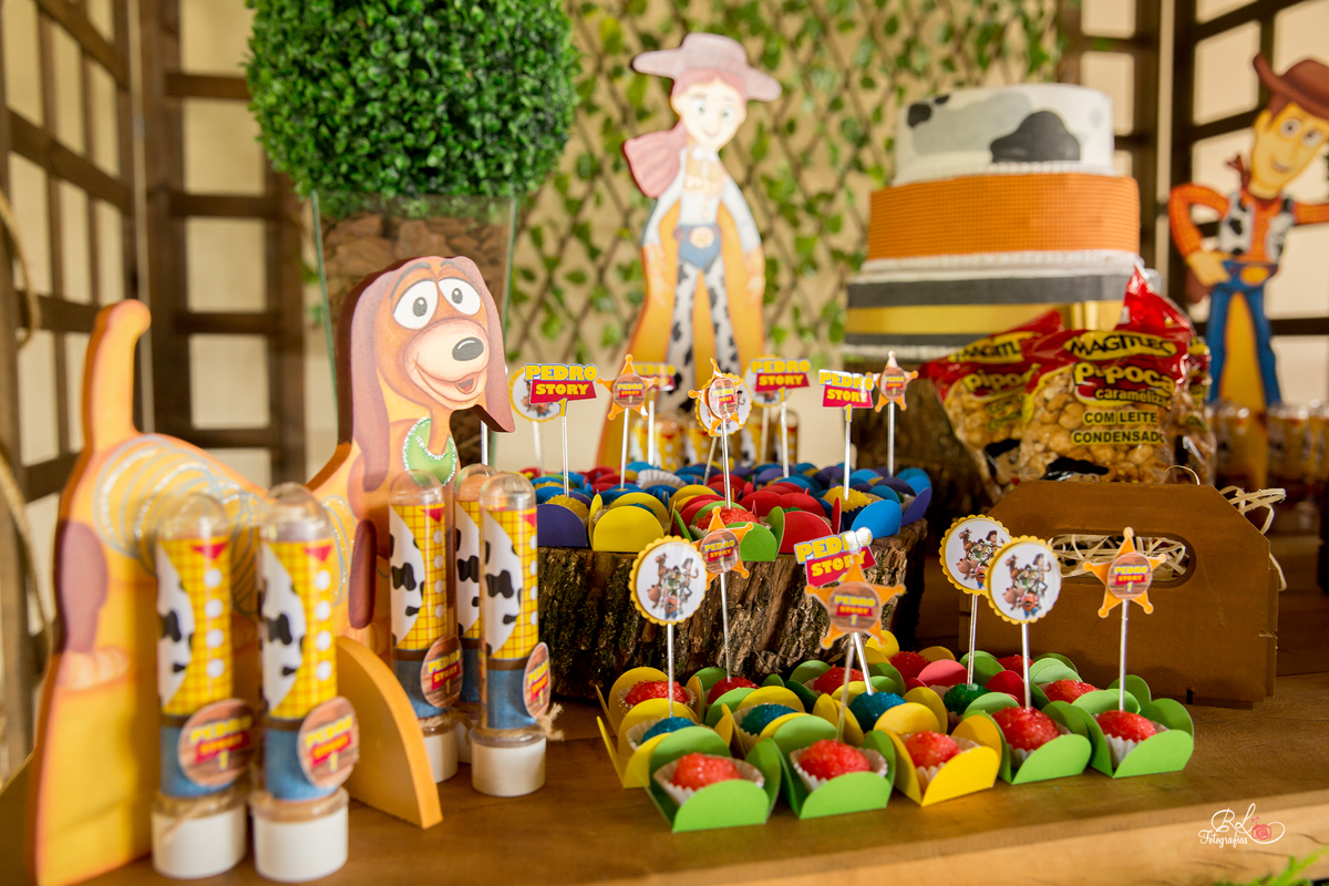 fotografo sorocaba, book fotográfico, fotografias sorocaba, sorocaba, rl fotografias, aniversario sorocaba, niver, aniversário infantil, fotografo de aniversario, fotografo de aniversário sp, fotografo de aniversario infantil sorocaba