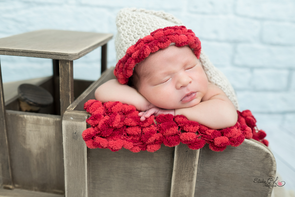 O Pietro chegou!!!!! Tão lindooo… Tão fofoooooooo 

chegou enchendo a vida dessa família de alegria e muita luz.

Pietro é uma delícia de bebê, super tranquilinho 

Nosso ensaio foi uma gostosura e Amamos demais conhecer vocês <3 