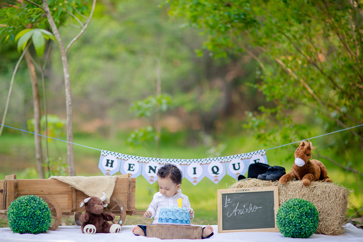 O Henrique estava bem familiarizado com o cenário de cowboy que montamos pra ele, na sua sessão de Smash the Cake.