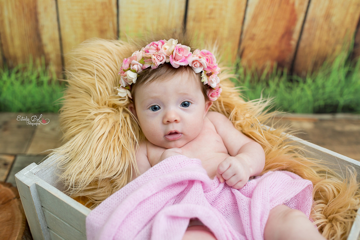 Princesinha Isabela sempre tão doce e simpática uma fofura que da ate vontade apertar....as fotos ficou uma delicadeza só no ensaio do acompanhamento trimestral registrando os seus 3 meses!