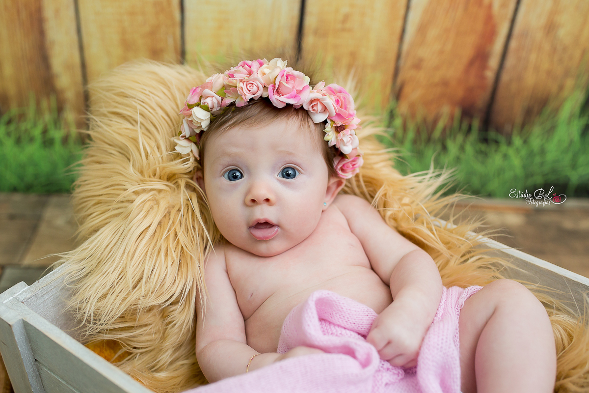 Princesinha Isabela sempre tão doce e simpática uma fofura que da ate vontade apertar....as fotos ficou uma delicadeza só no ensaio do acompanhamento trimestral registrando os seus 3 meses!