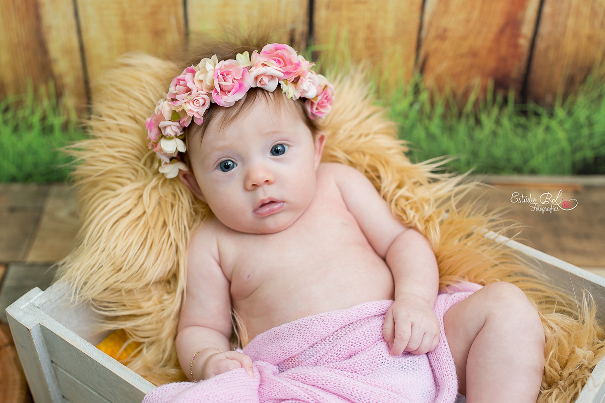 Princesinha Isabela sempre tão doce e simpática uma fofura que da ate vontade apertar....as fotos ficou uma delicadeza só no ensaio do acompanhamento trimestral registrando os seus 3 meses!