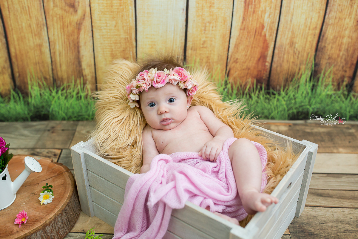 Princesinha Isabela sempre tão doce e simpática uma fofura que da ate vontade apertar....as fotos ficou uma delicadeza só no ensaio do acompanhamento trimestral registrando os seus 3 meses!