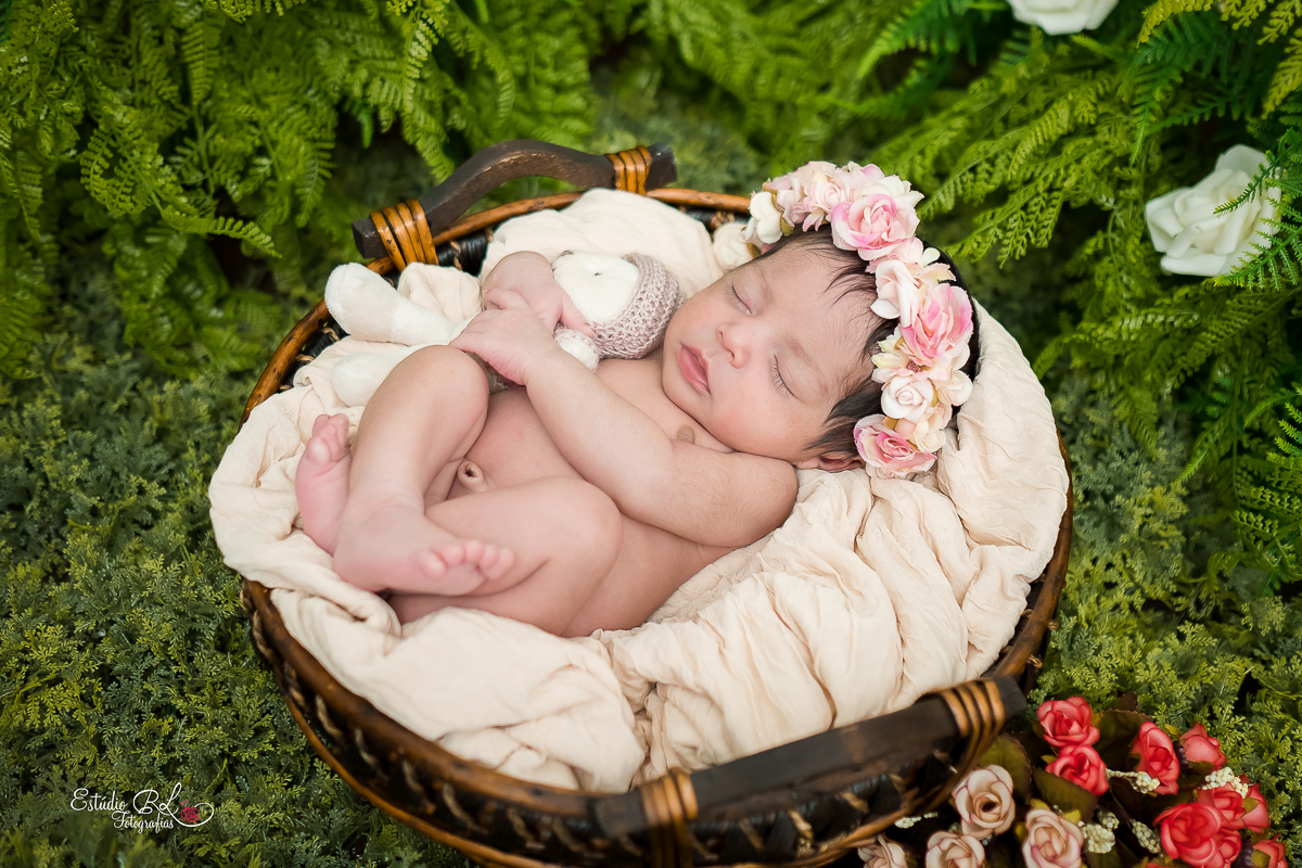 Luisa 11 dias !!!

Coisinha mais linda e delicada