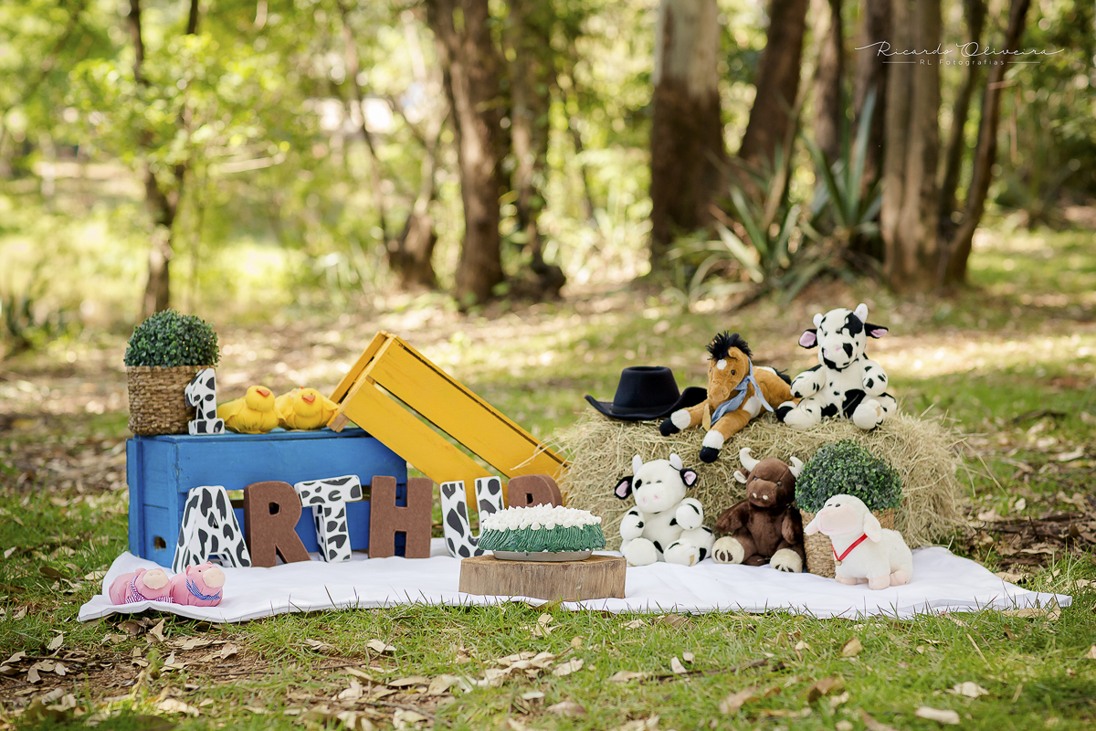 acompanhamento de bebes, amor de mãe, fotos de bebes, ensaio de recém nascido, newborn sorocaba, fotografo de bebes sorocaba, fotografo de recém nascido sorocaba, acompanhamento de bebes sorocaba, newborn sp, fotografo de newborn sp, 