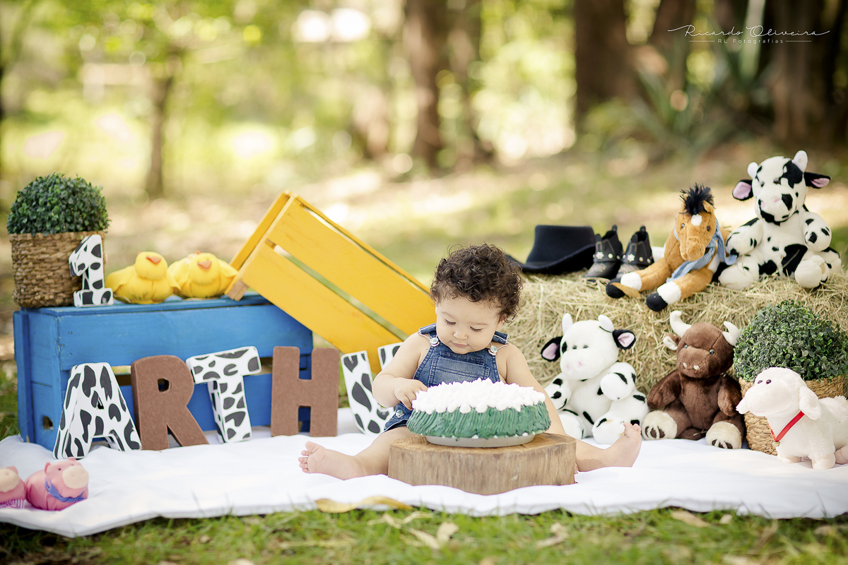 acompanhamento de bebes, amor de mãe, fotos de bebes, ensaio de recém nascido, newborn sorocaba, fotografo de bebes sorocaba, fotografo de recém nascido sorocaba, acompanhamento de bebes sorocaba, newborn sp, fotografo de newborn sp, 