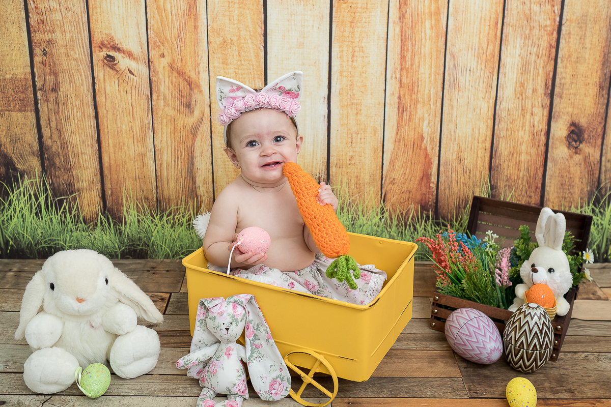 Mais uma linda sessão de acompanhamento da pequena Helena!!!

Dessa vez tivemos a sessão de páscoa....Uma lembrança linda que vai marcar o acompanhamento fotográfico da Helena, que completou seu  nono mês numa sessão cheia de coelhos e muita fofura! 