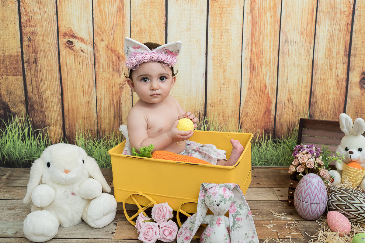 Genteee, parece que foi ontem que fizemos a sessão Newborn da Rafaela
E esse mês a princesinha completou 9 meses !!!!E quem resiste a toda essa fofura?   

