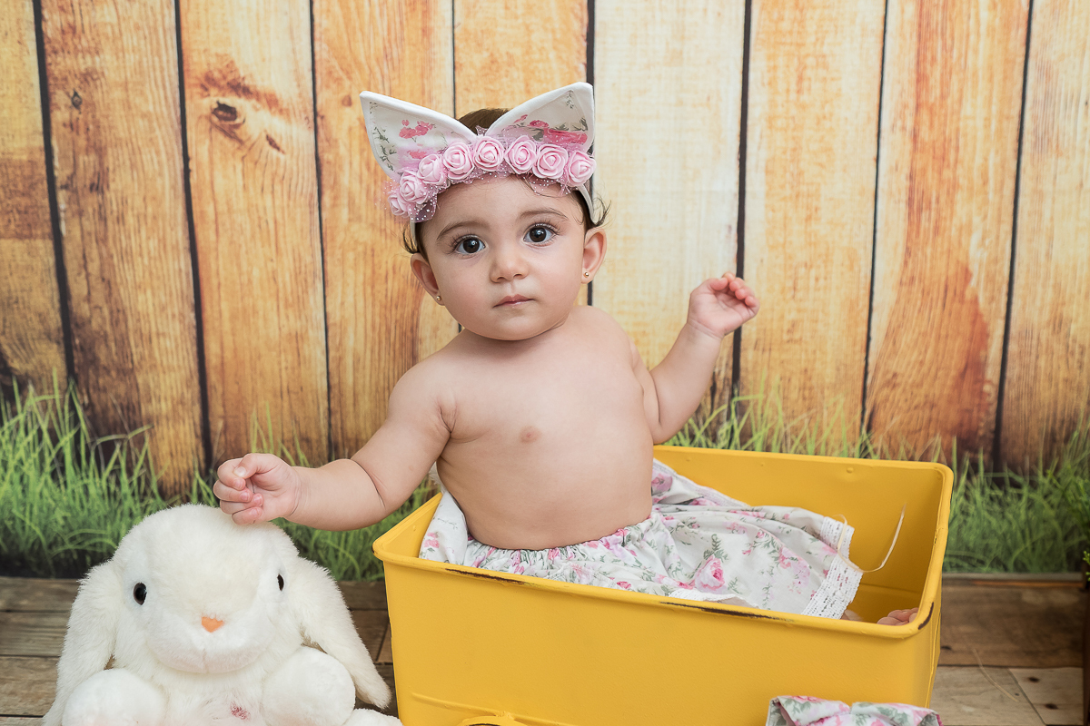 Genteee, parece que foi ontem que fizemos a sessão Newborn da Rafaela
E esse mês a princesinha completou 9 meses !!!!E quem resiste a toda essa fofura?